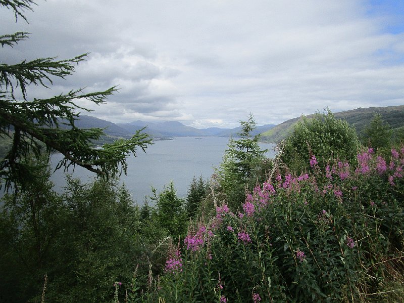 2018.07.16 ab in den Sueden Schottlands (2859).JPG